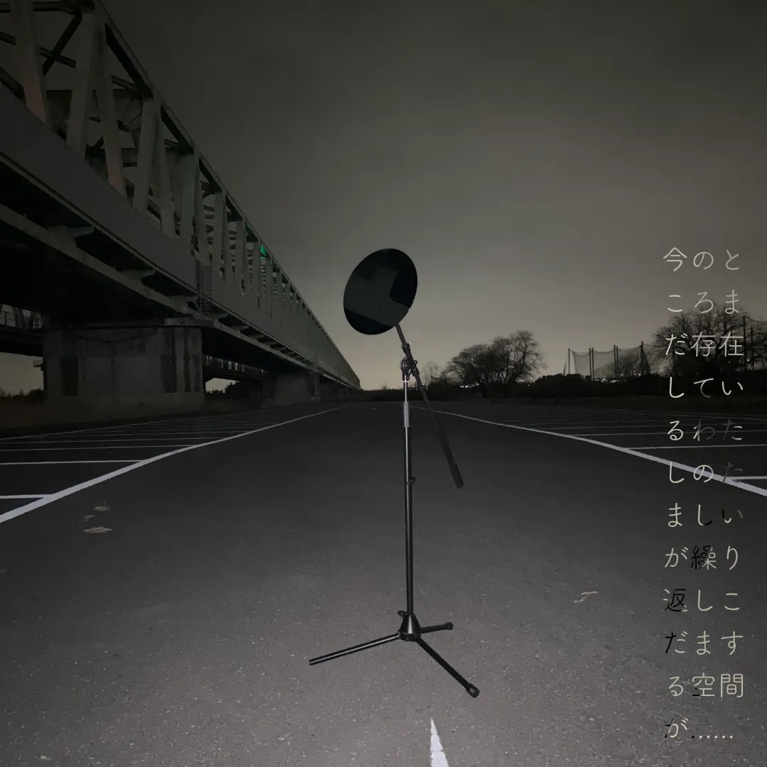 いまのところまだ存在しているわたしのたましいが繰り返しこだまする空間が……